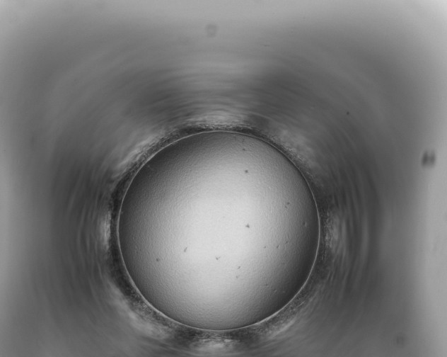 X0000089370206200706221228