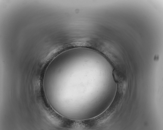 X0000089370207200706221228