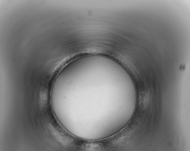 X0000089370208200706221228