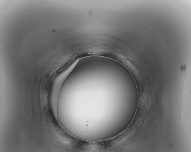 X0000089370209200706221228