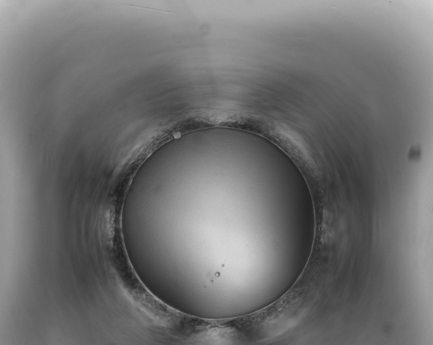 X0000089370210200706221228