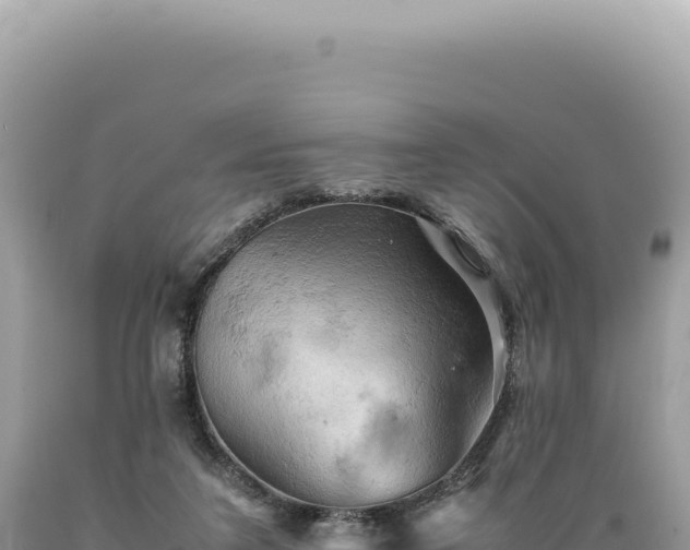 X0000089370211200706221228