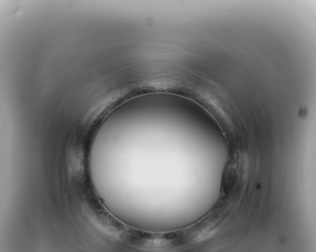 X0000089370212200706221228