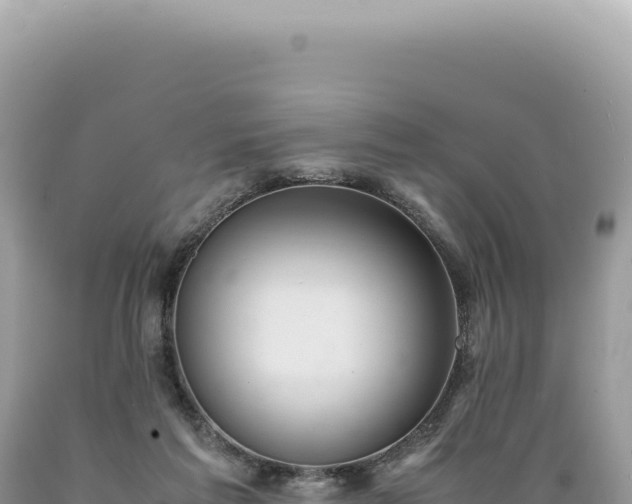 X0000089370213200706221228