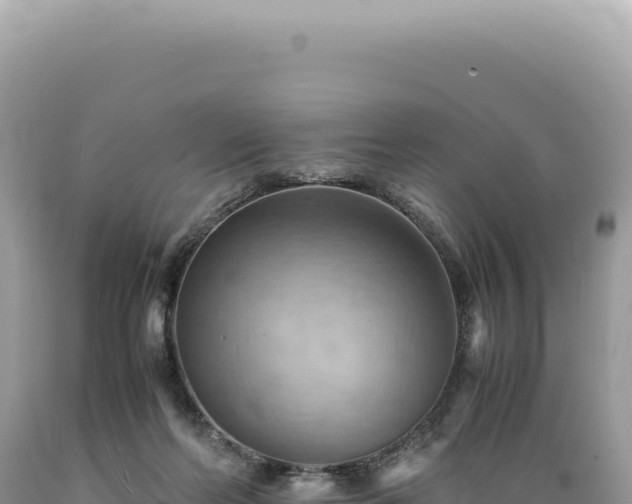 X0000089370214200706221228