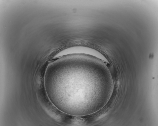 X0000089370215200706221228