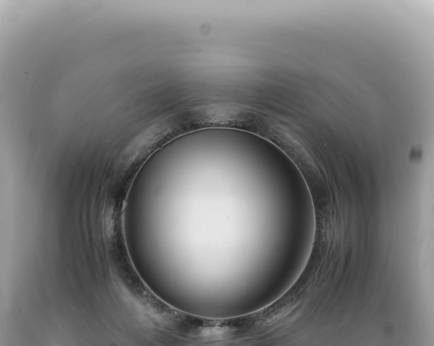 X0000089370216200706221228