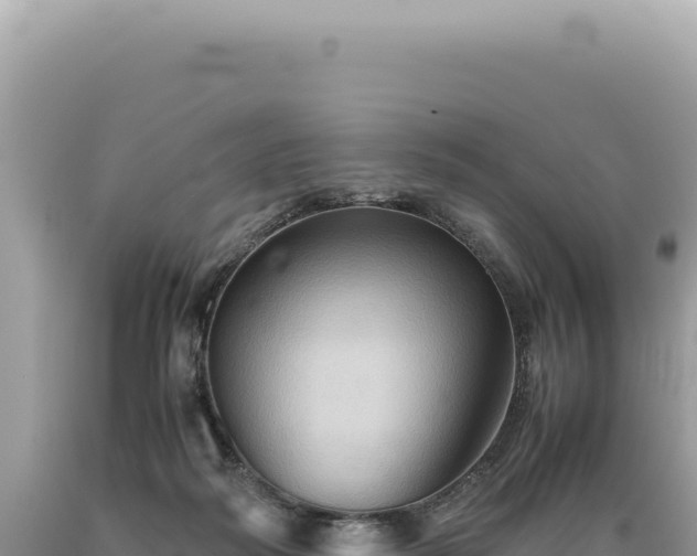X0000089370218200706221228