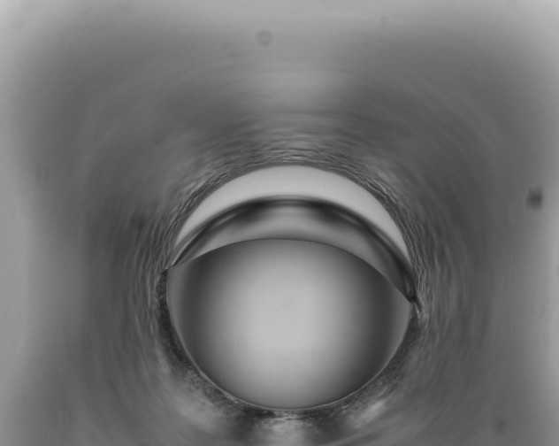 X0000089370219200706221228