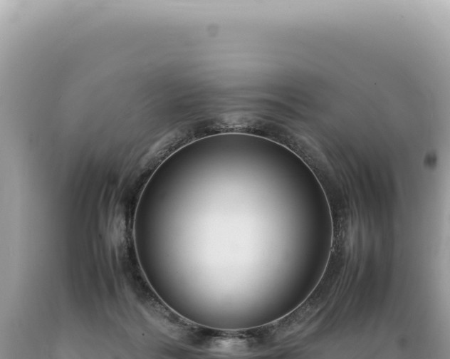 X0000089370220200706221228