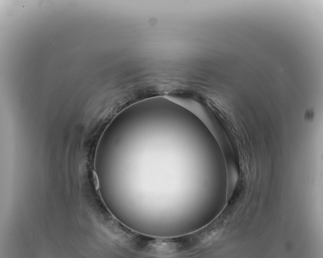 X0000089370221200706221228