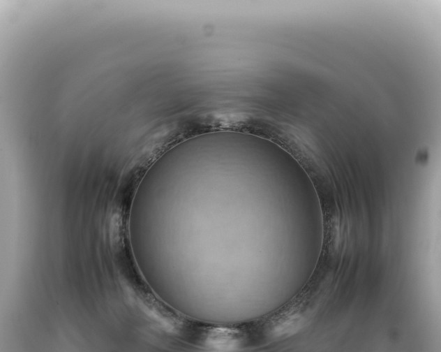 X0000089370222200706221228