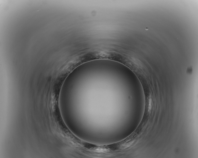 X0000089370223200706221228