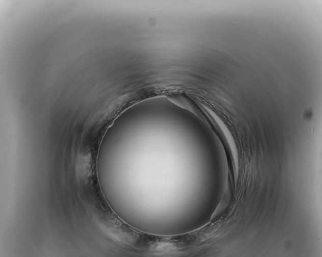 X0000089370224200706221228