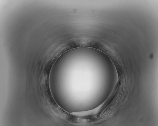 X0000089370225200706221228
