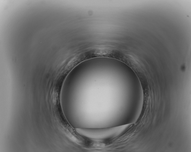 X0000089370227200706221228