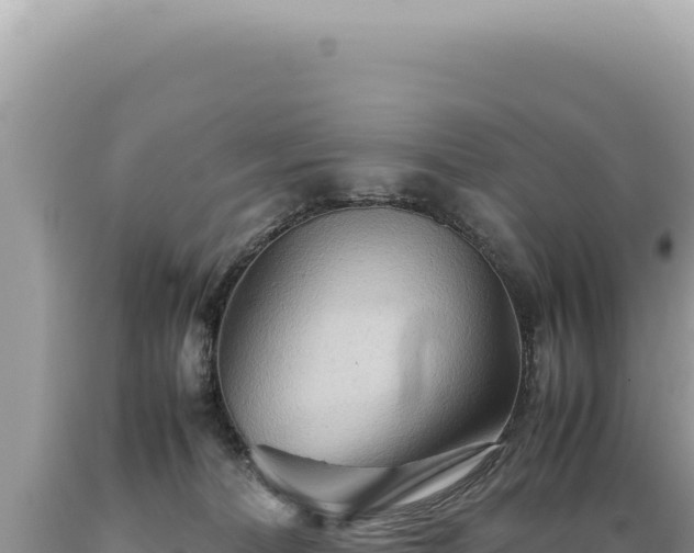 X0000089370228200706221228