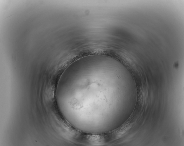 X0000089370230200706221228