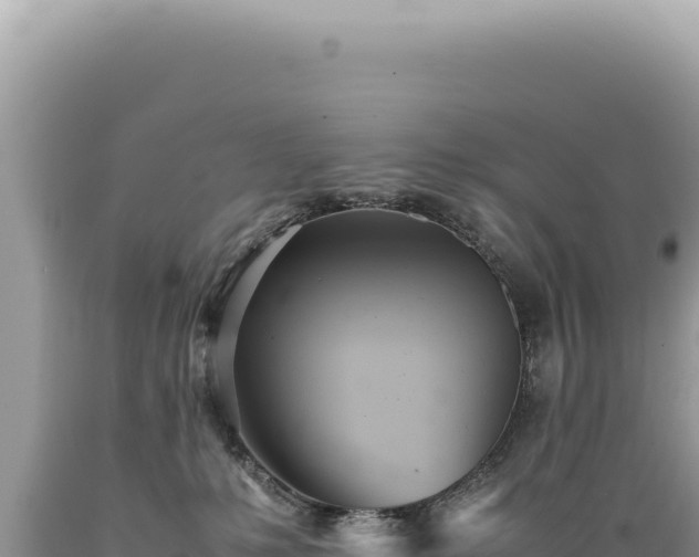 X0000089370231200706221228