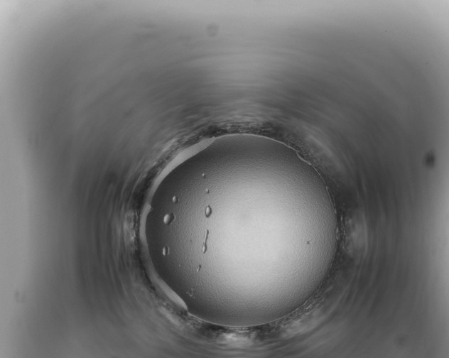 X0000089370232200706221228
