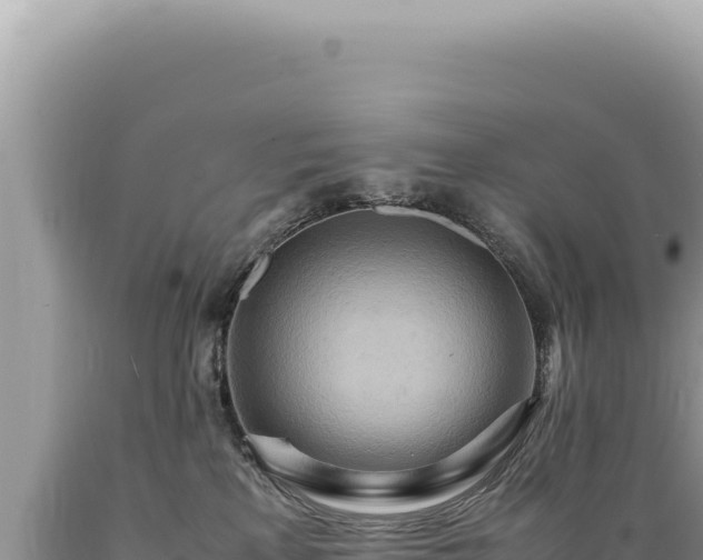 X0000089370233200706221228