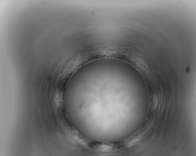 X0000089370236200706221228