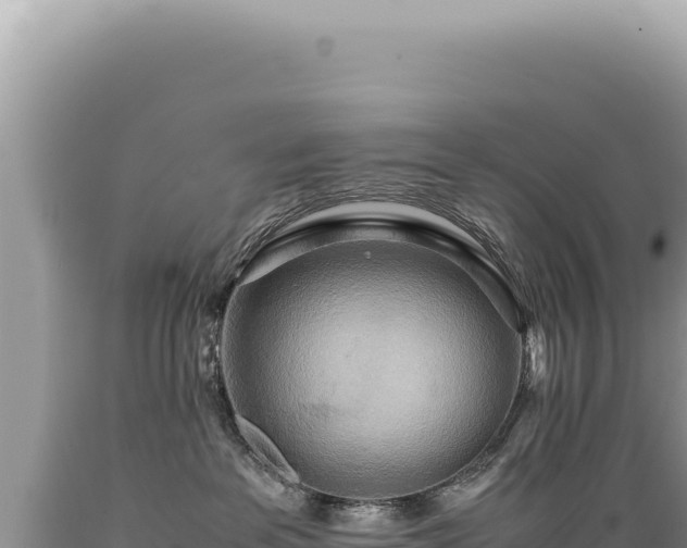 X0000089370237200706221228