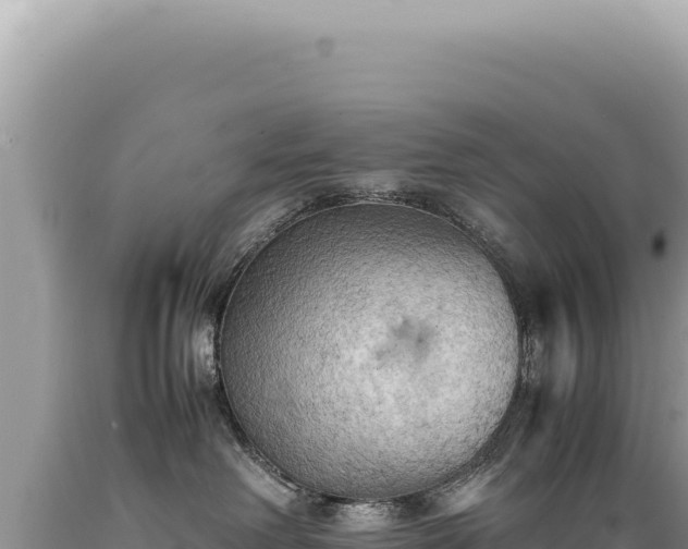 X0000089370238200706221228