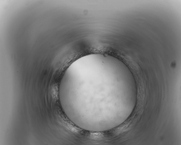 X0000089370240200706221228