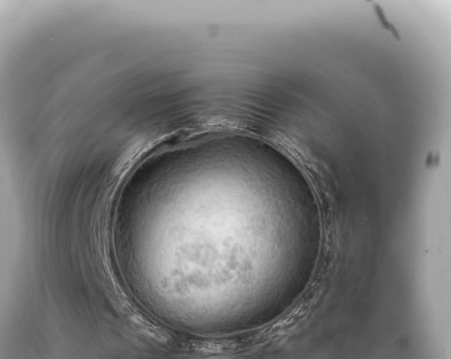 X0000089370241200706221227