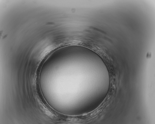 X0000089370242200706221227