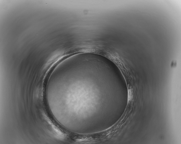 X0000089370243200706221227