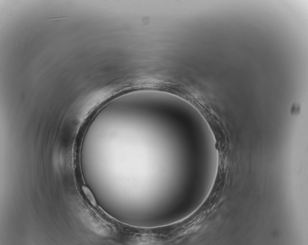 X0000089370244200706221227