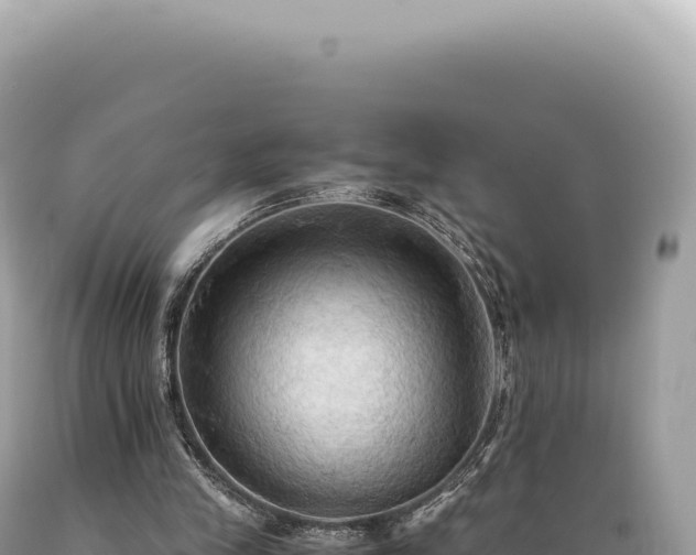 X0000089370245200706221227