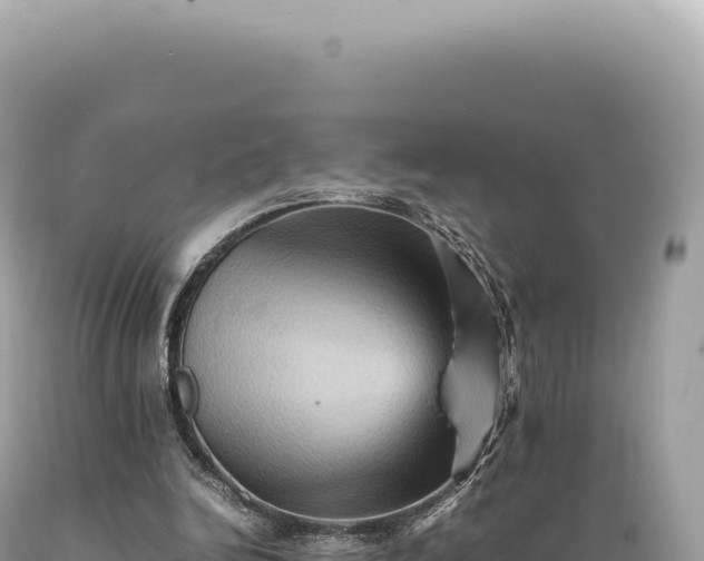 X0000089370246200706221227