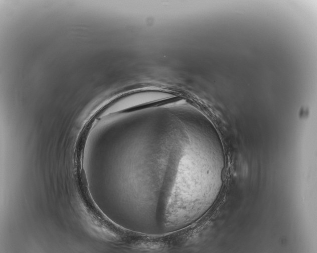 X0000089370247200706221227