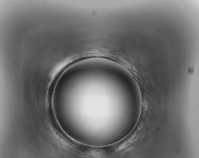 X0000089370248200706221227