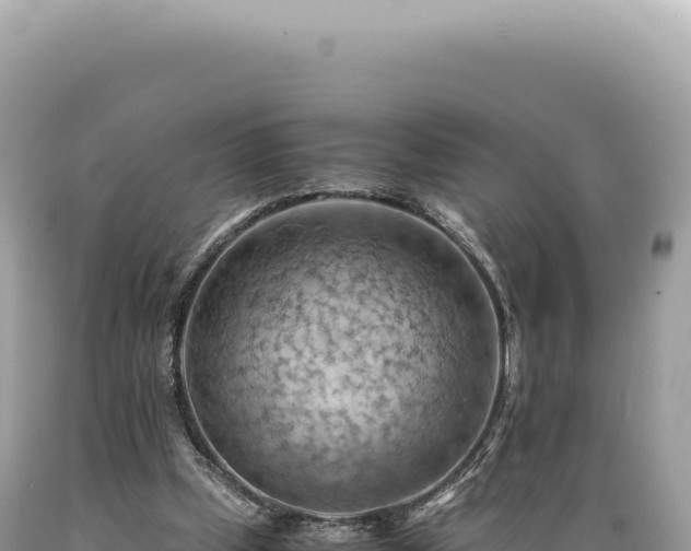 X0000089370249200706221227