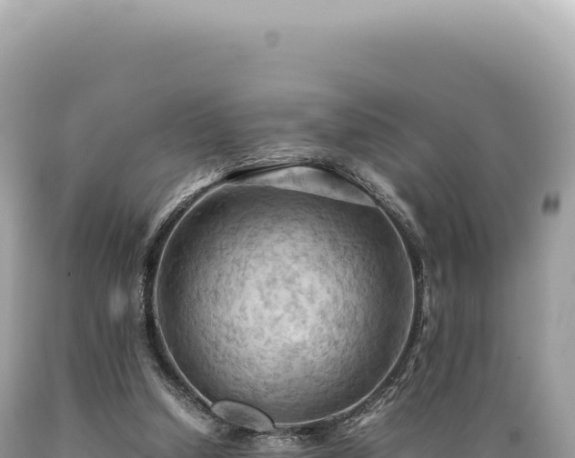 X0000089370250200706221227