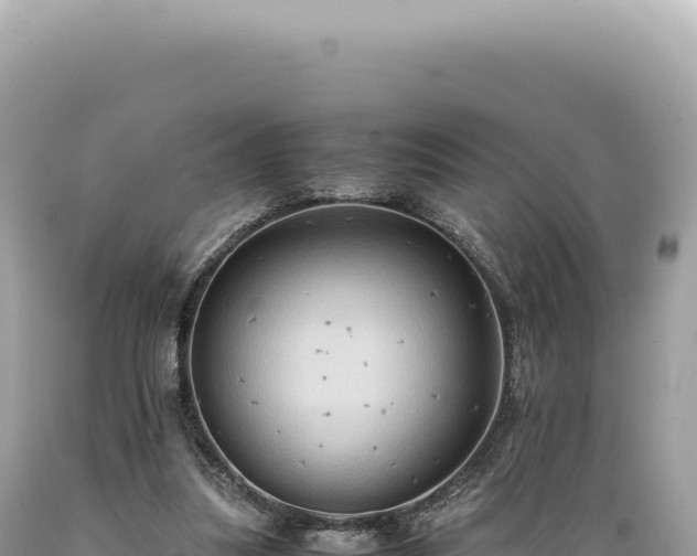 X0000089370251200706221227