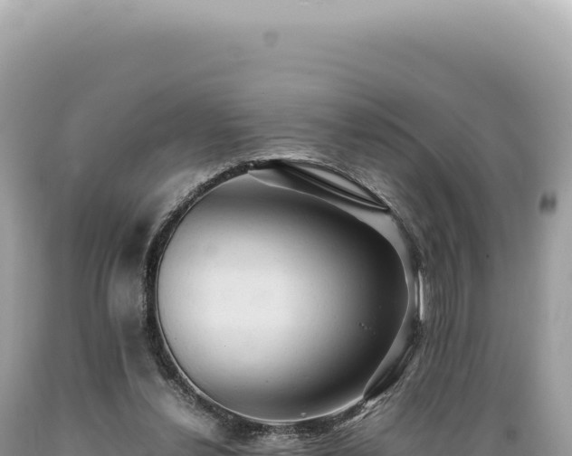 X0000089370252200706221227