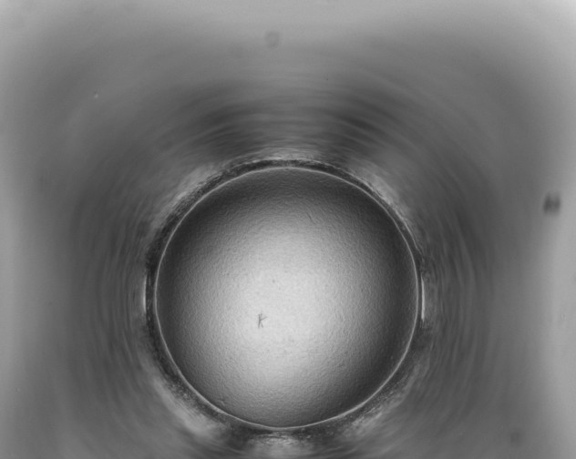X0000089370253200706221227