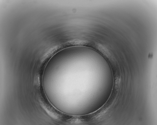 X0000089370254200706221227
