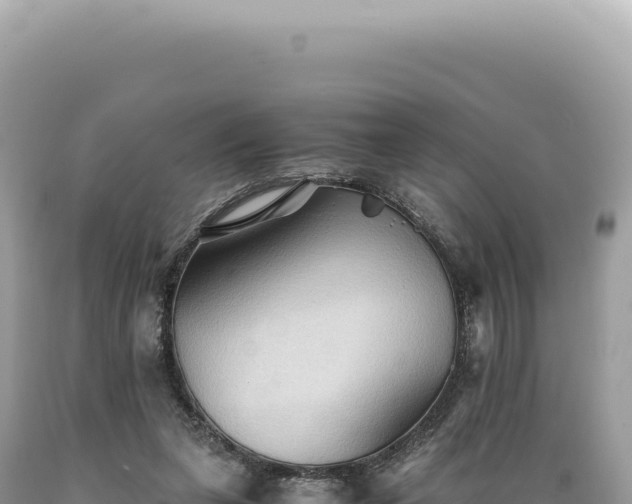 X0000089370255200706221227