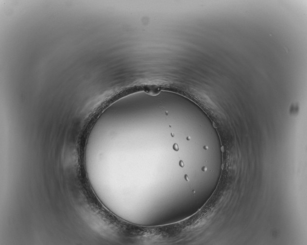 X0000089370256200706221227