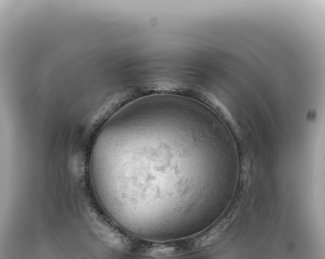 X0000089370257200706221227