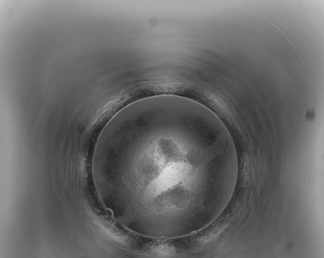 X0000089370258200706221227