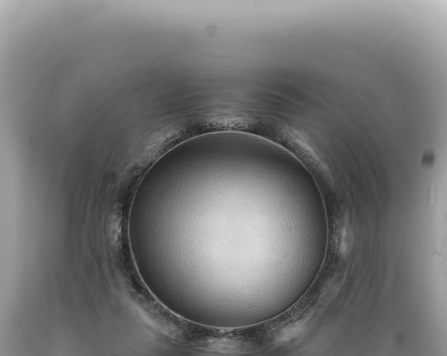 X0000089370259200706221227