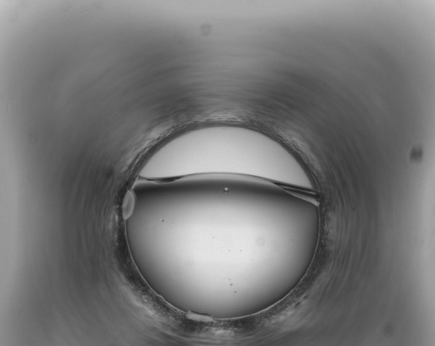X0000089370260200706221227