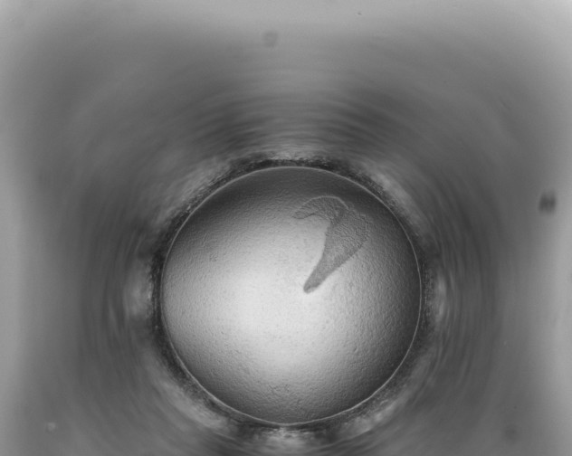 X0000089370261200706221227
